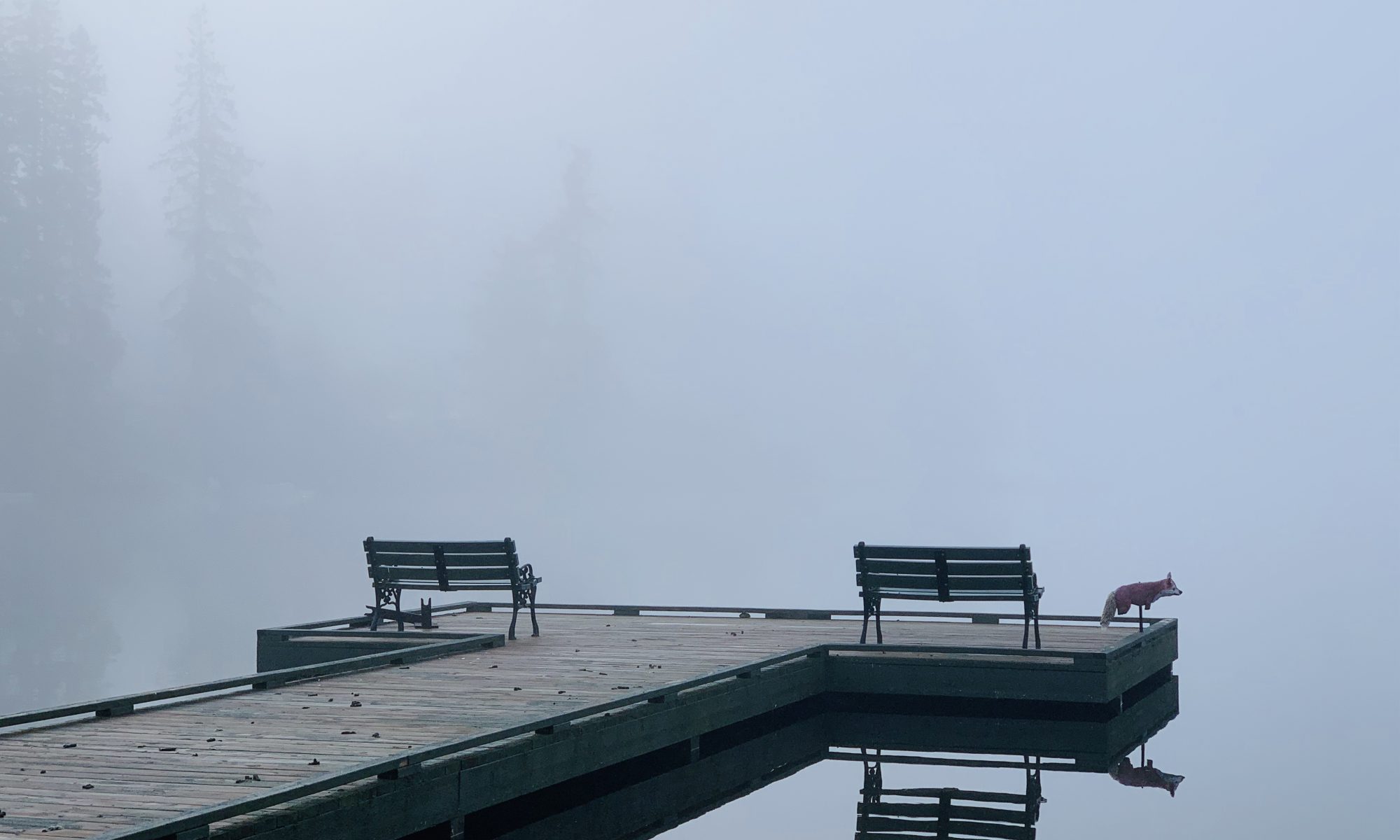 misty morning on the lake